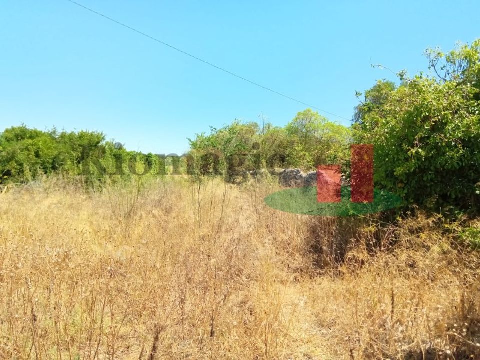 Villa i Rio Maior, Santarem - foto 5