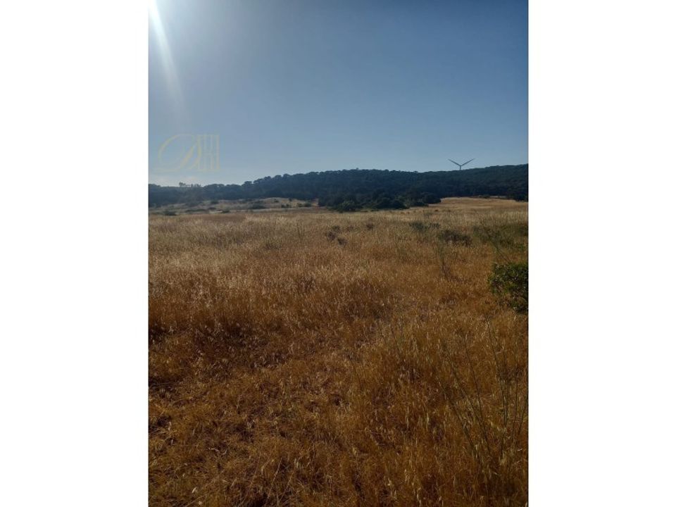 Helårsgrund i Bensafrim, Faro - foto 3