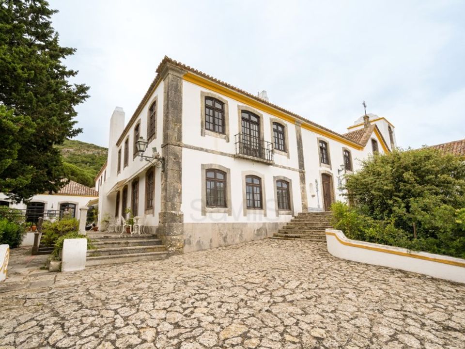 Farm i Brejos de Azeitao, Setubal - foto 2