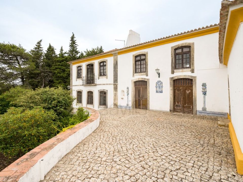 Farm i Brejos de Azeitao, Setubal - foto 3