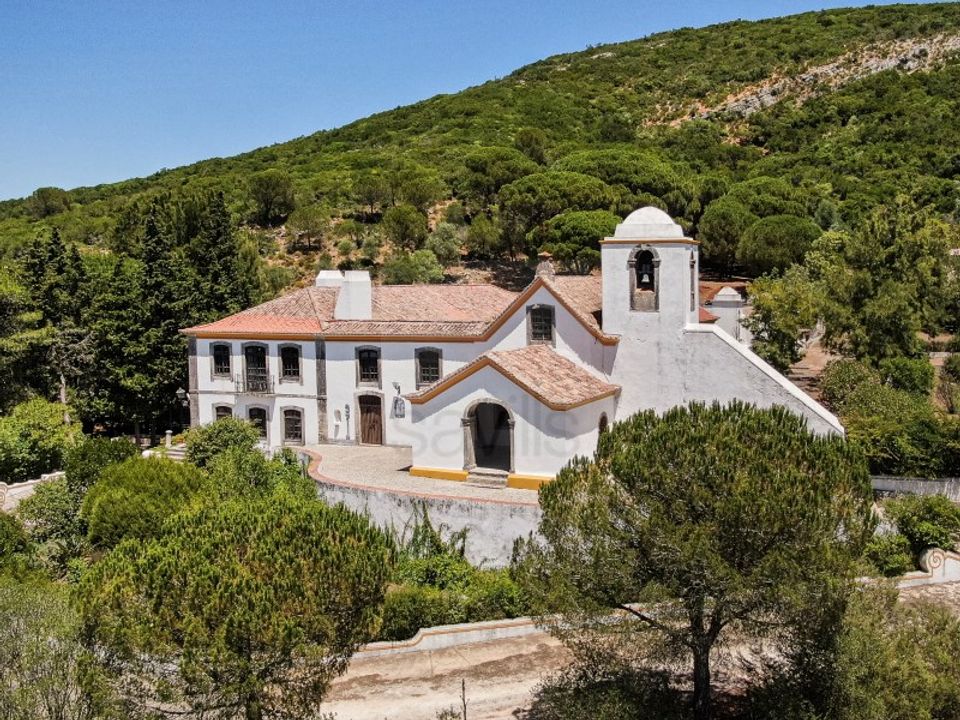 Farm i Brejos de Azeitao, Setubal - foto 1