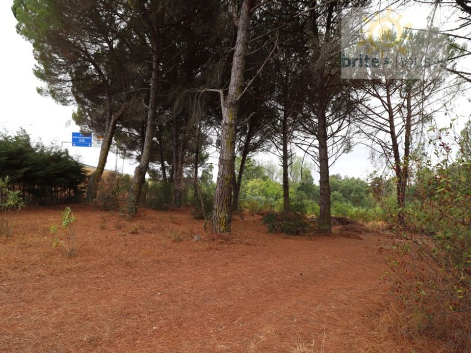 Helårsgrund i Tomar, Santarem - foto 3