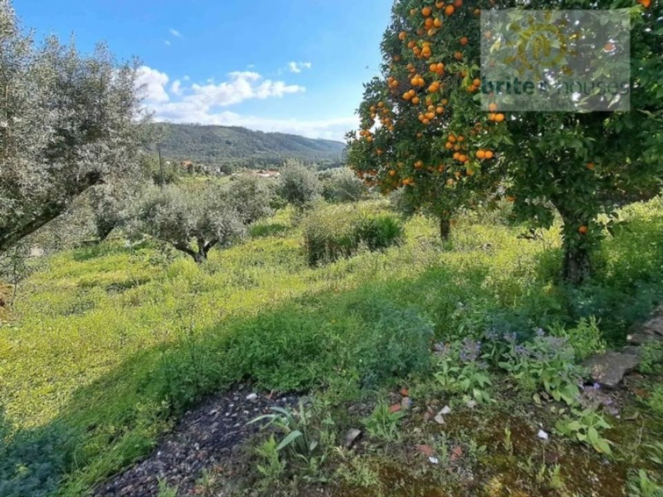 Villa i Tomar, Santarem - foto 4
