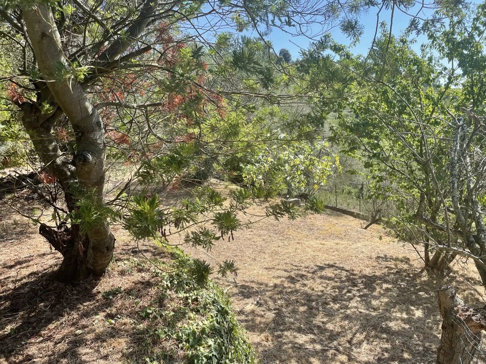 Villa in Seborga, Imperia - foto 2