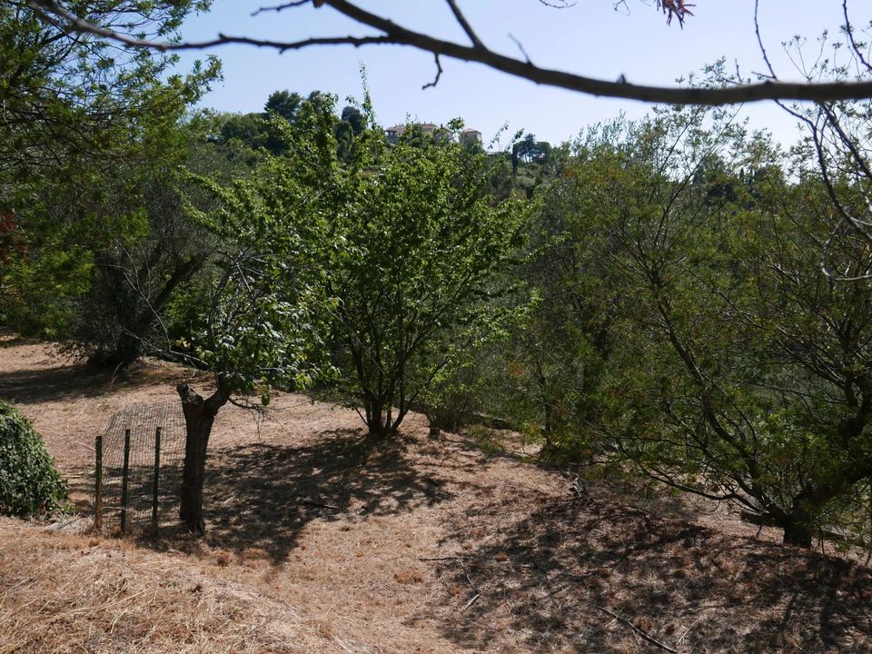 Villa in Seborga, Imperia - foto 3