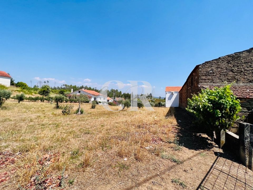 Farm i Pedrogao Grande, Leiria - foto 2