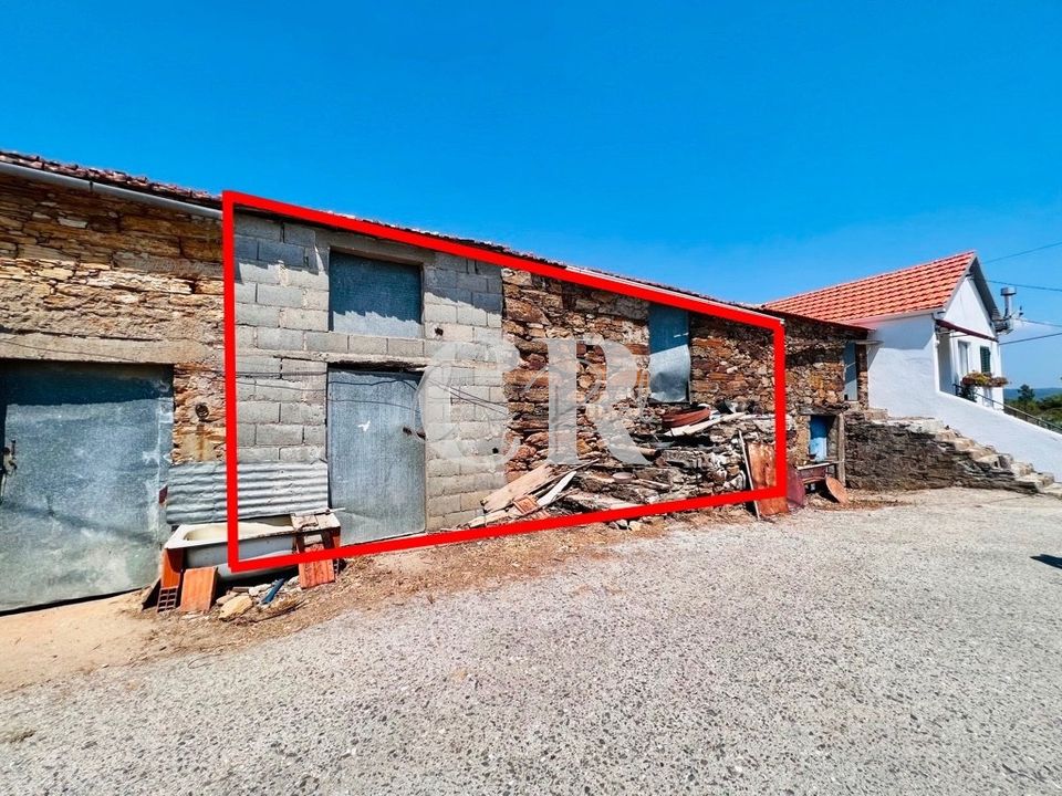 Farm i Pedrogao Grande, Leiria - foto 3