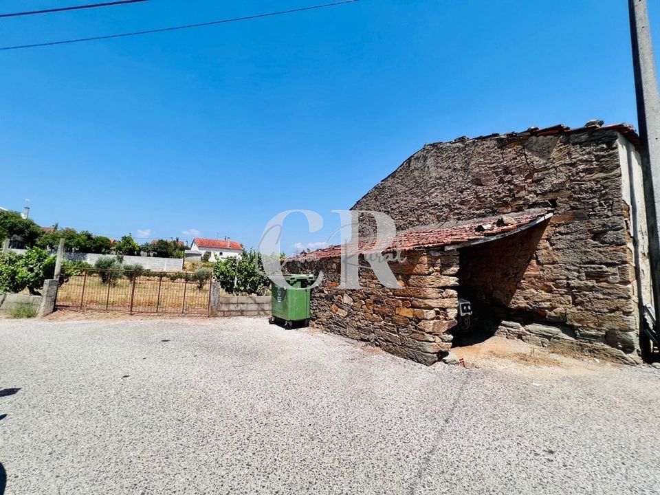 Farm i Pedrogao Grande, Leiria - foto 4