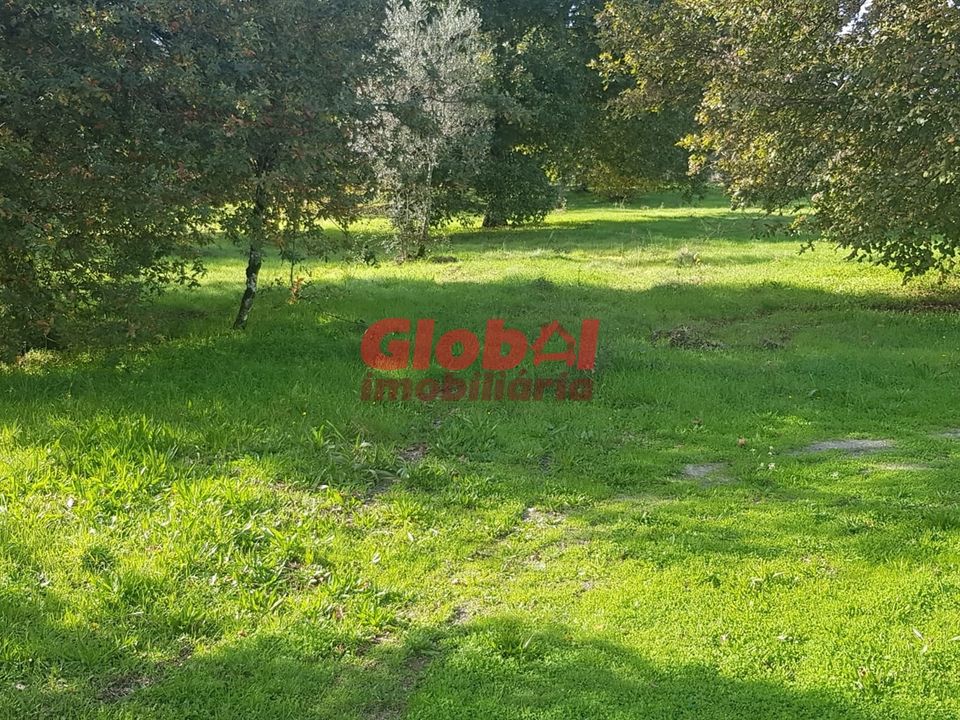 Helårsgrund i Viseu, Viseu - foto 1