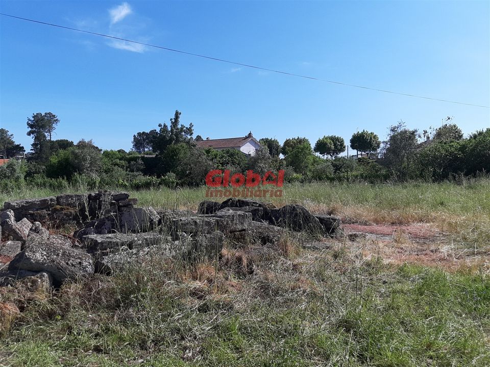 Działka: Nelas, Viseu – zdjęcie 1
