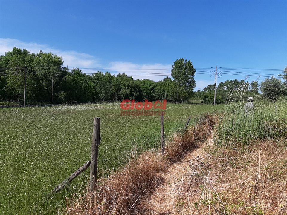 Działka: Nelas, Viseu – zdjęcie 1