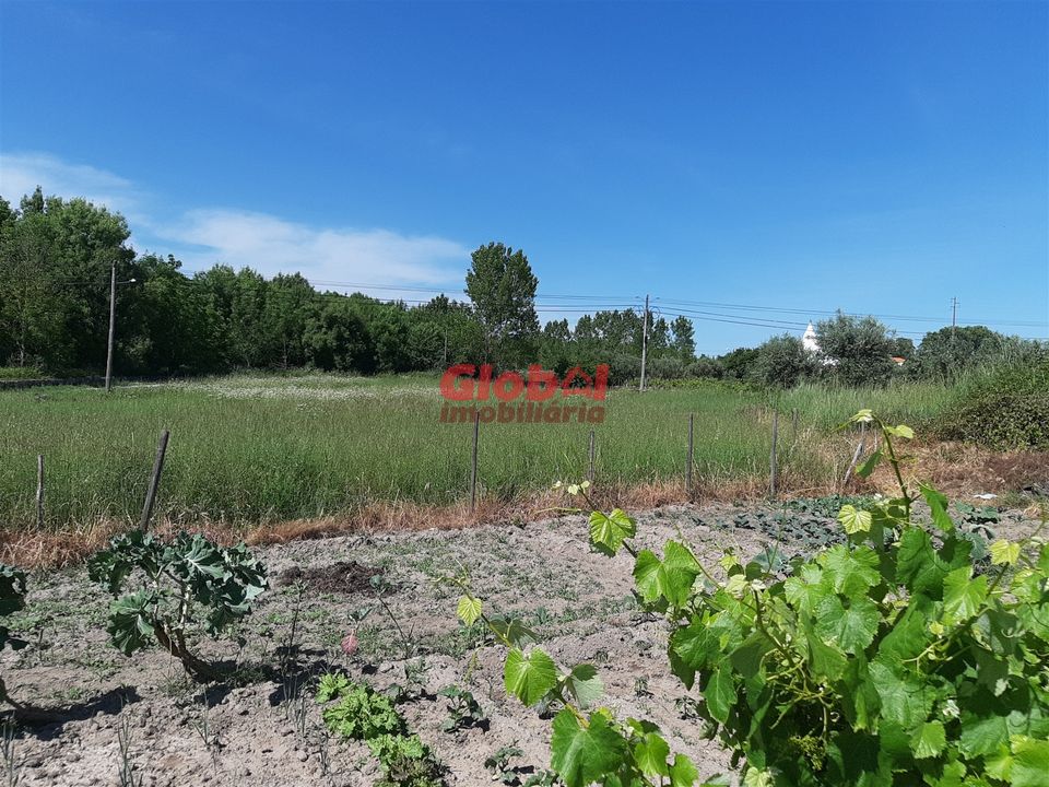 Działka: Nelas, Viseu – zdjęcie 5