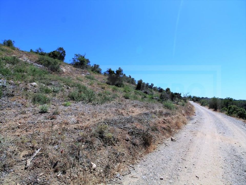 Helårsgrund i Algoz, Faro - foto 3