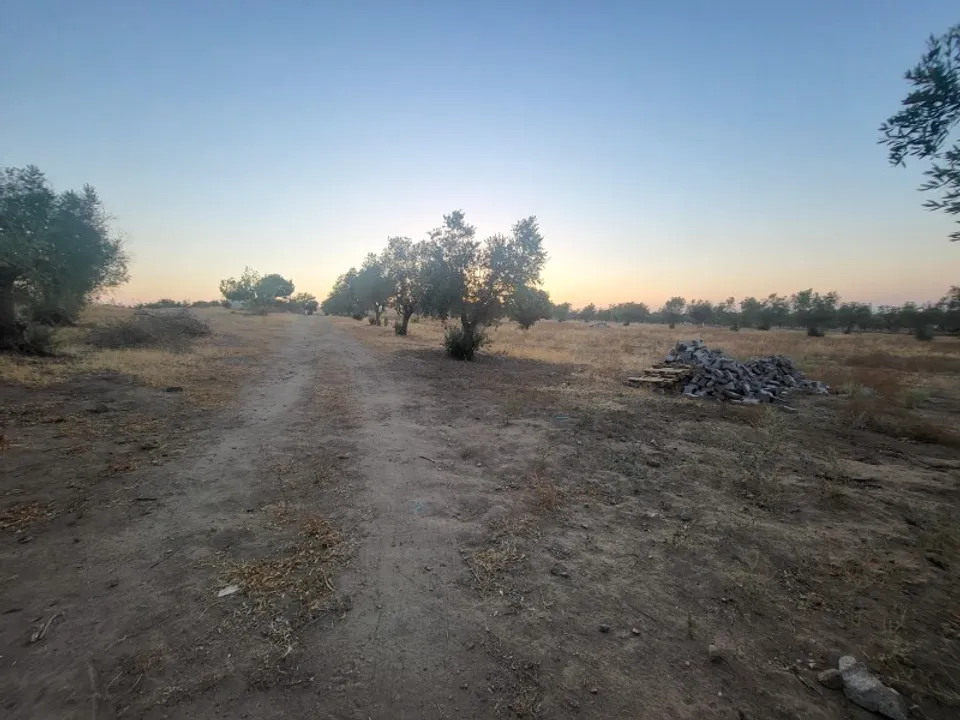 Helårsgrund i Reguengos de Monsaraz, Evora - foto 4