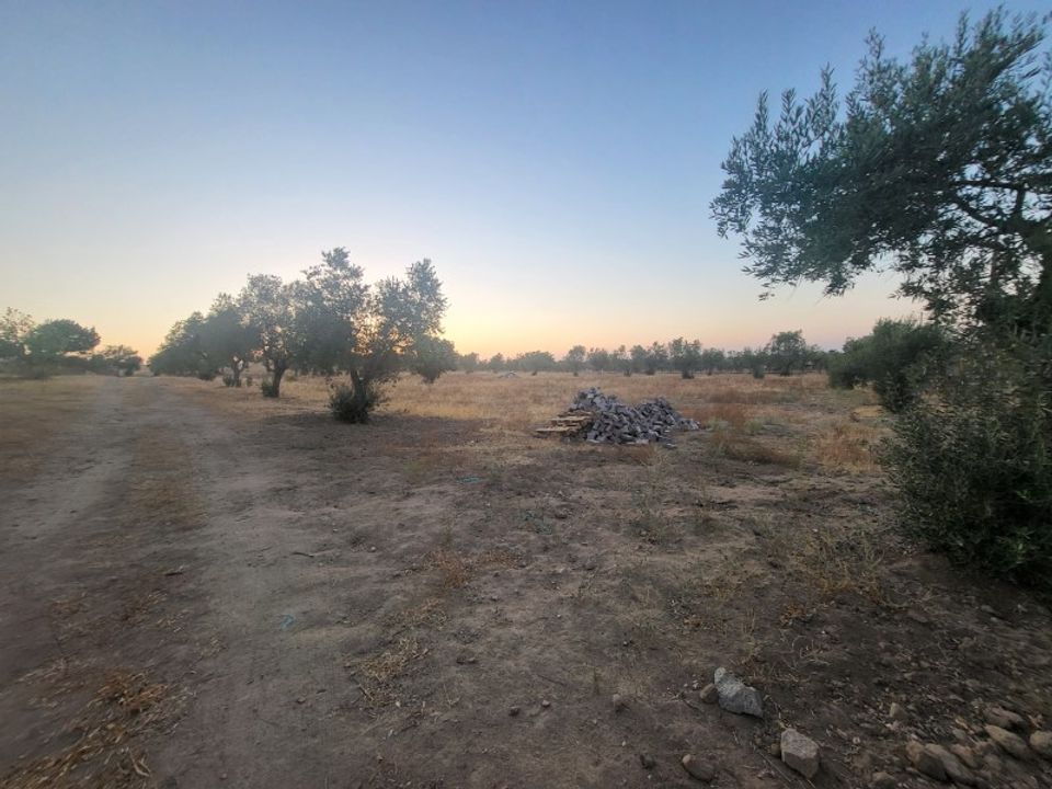 Helårsgrund i Reguengos de Monsaraz, Evora - foto 5