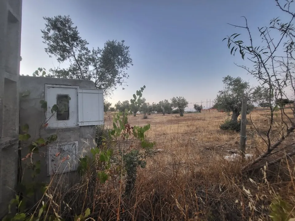 Helårsgrund i Reguengos de Monsaraz, Evora - foto 1