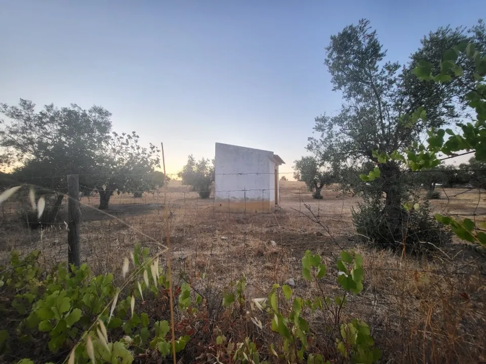 Helårsgrund i Reguengos de Monsaraz, Evora - foto 2