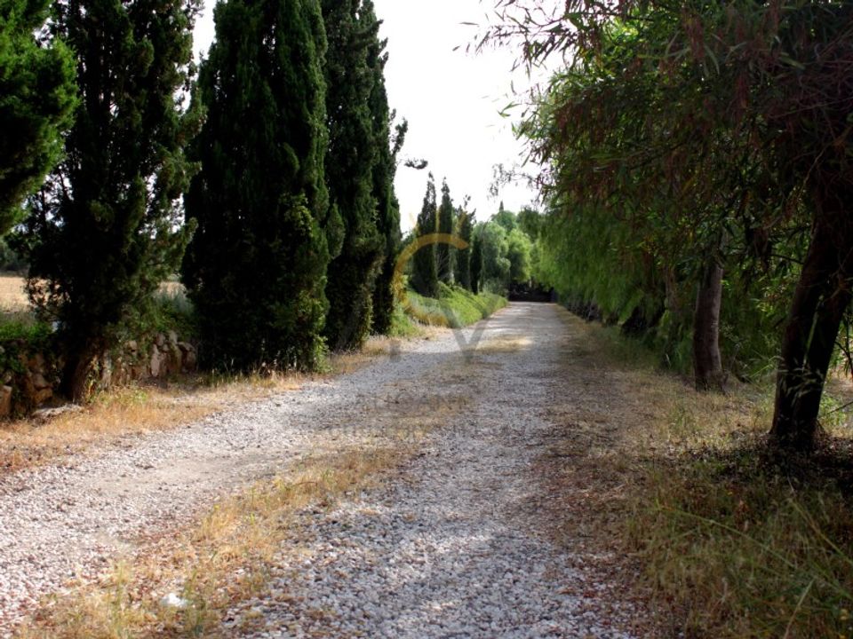 Villa i Monforte Del Cid, Alicante - foto 5
