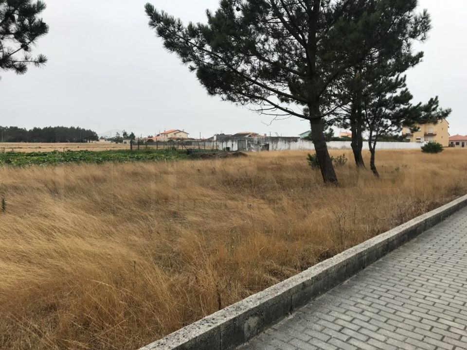 Terra a Gafanha do Carmo, Aveiro - foto 2
