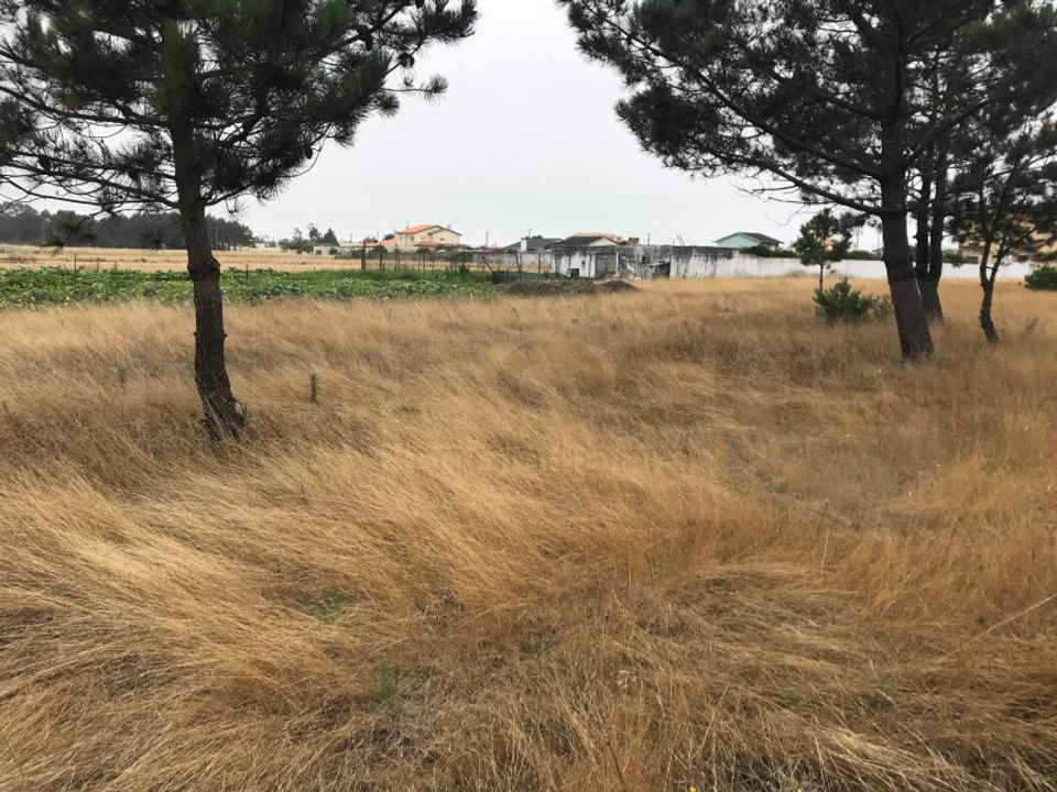 Terra a Gafanha do Carmo, Aveiro - foto 4