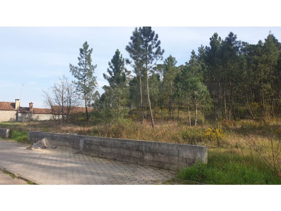Helårsgrund i Oliveira do Bairro, Aveiro - foto 1