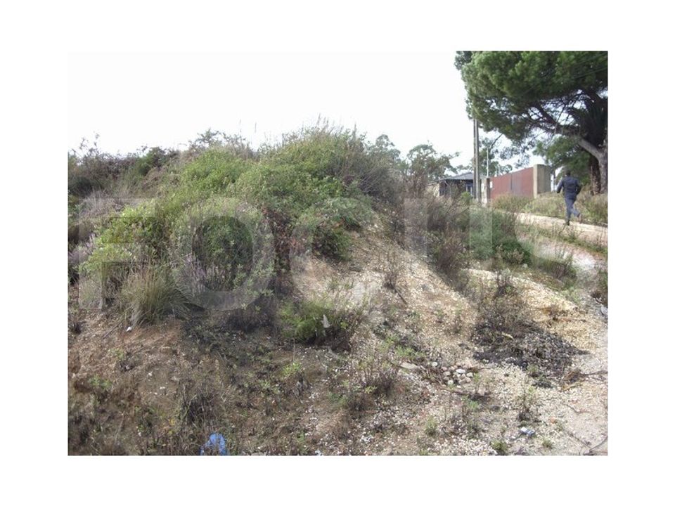 Helårsgrund i Oliveira do Bairro, Aveiro - foto 5