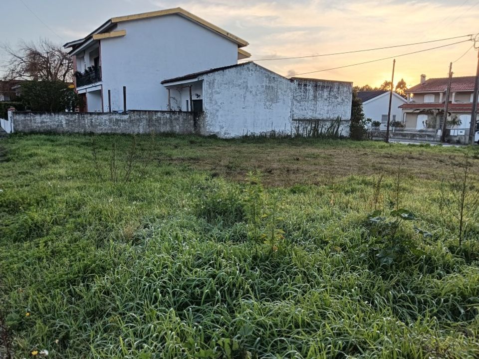 Helårsgrund i Sosa, Aveiro - foto 4