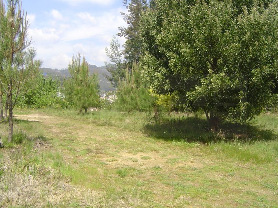Helårsgrund i Sever do Vouga, Aveiro - foto 3