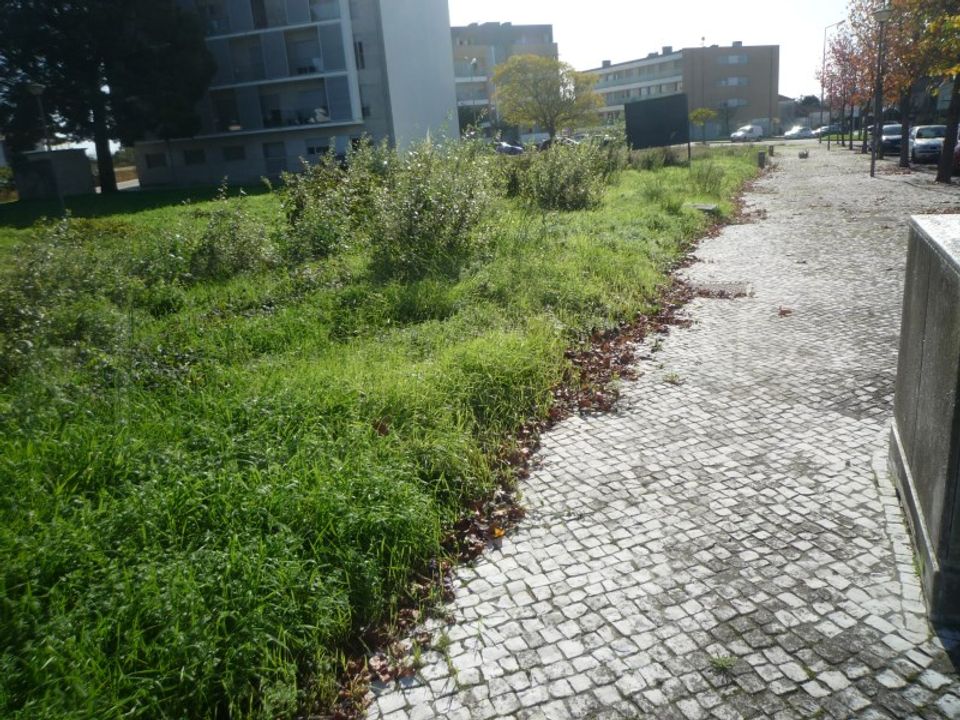 Helårsgrund i Albergaria-a-Velha, Aveiro - foto 3