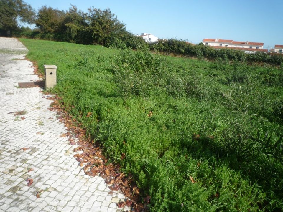 Helårsgrund i Albergaria-a-Velha, Aveiro - foto 5