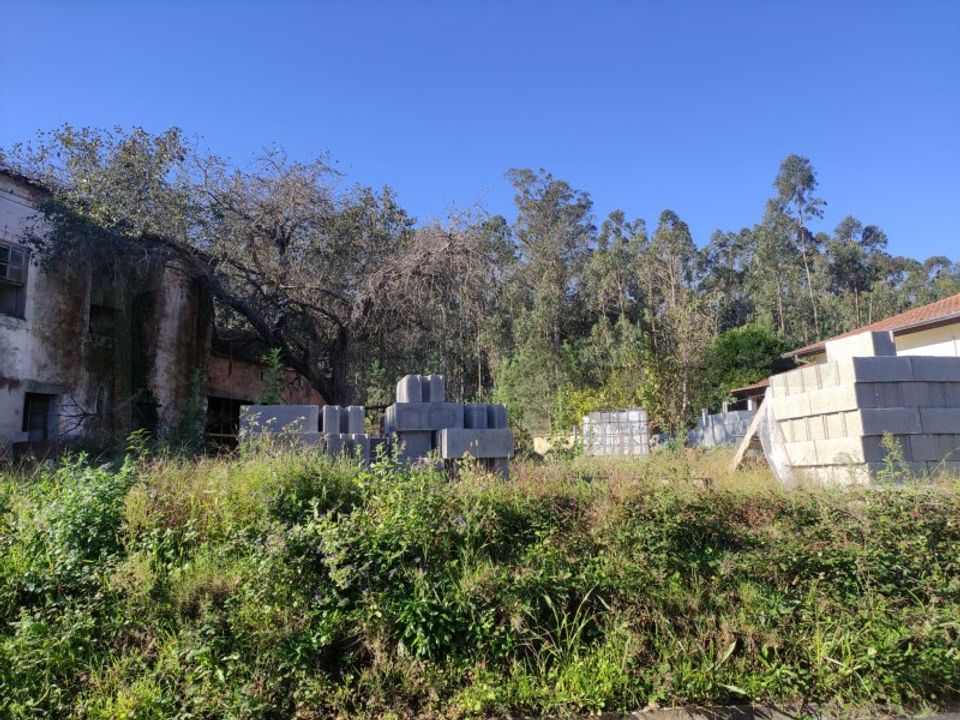 Farm i Alquerubim, Aveiro - foto 3