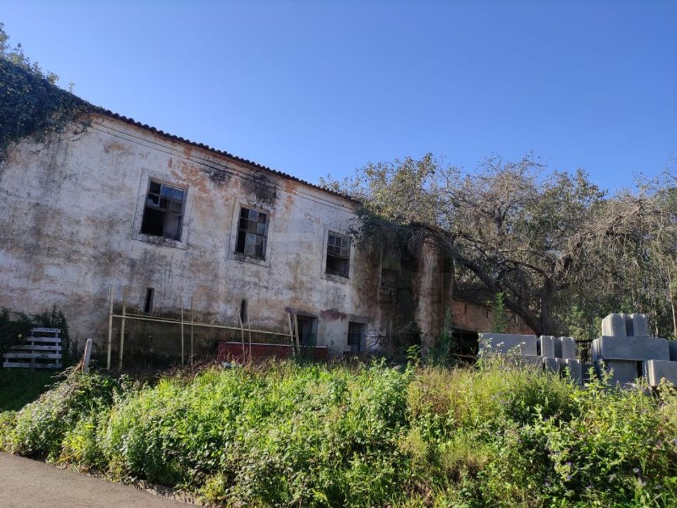 Farm i Alquerubim, Aveiro - foto 4