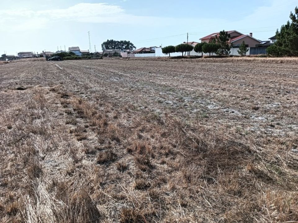 Helårsgrund i Gafanha da Encarnacao, Aveiro - foto 2