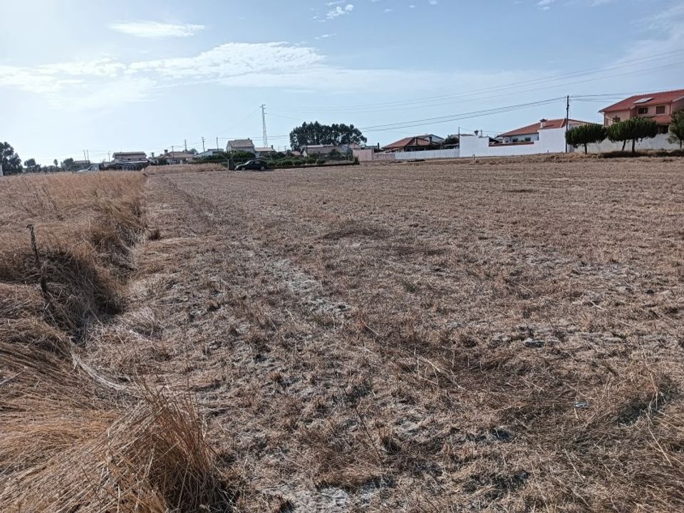Helårsgrund i Gafanha da Encarnacao, Aveiro - foto 5