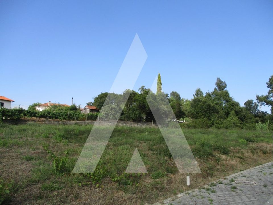 Helårsgrund i Anadia, Aveiro - foto 1