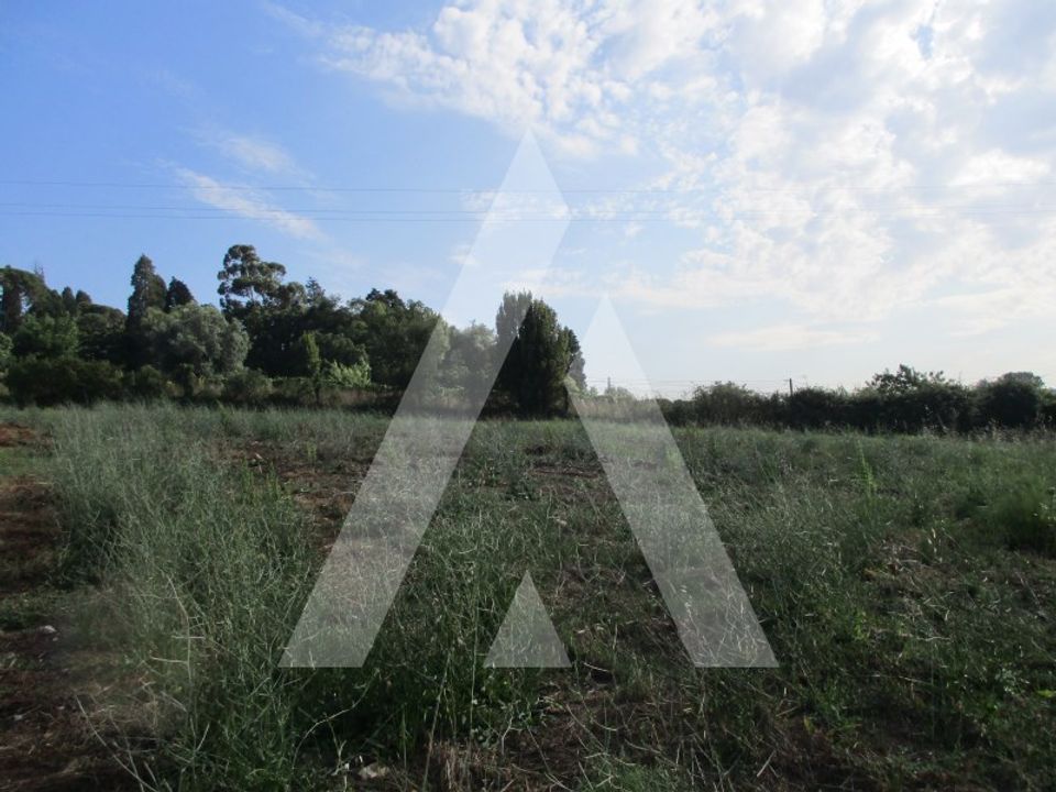 Helårsgrund i Anadia, Aveiro - foto 2