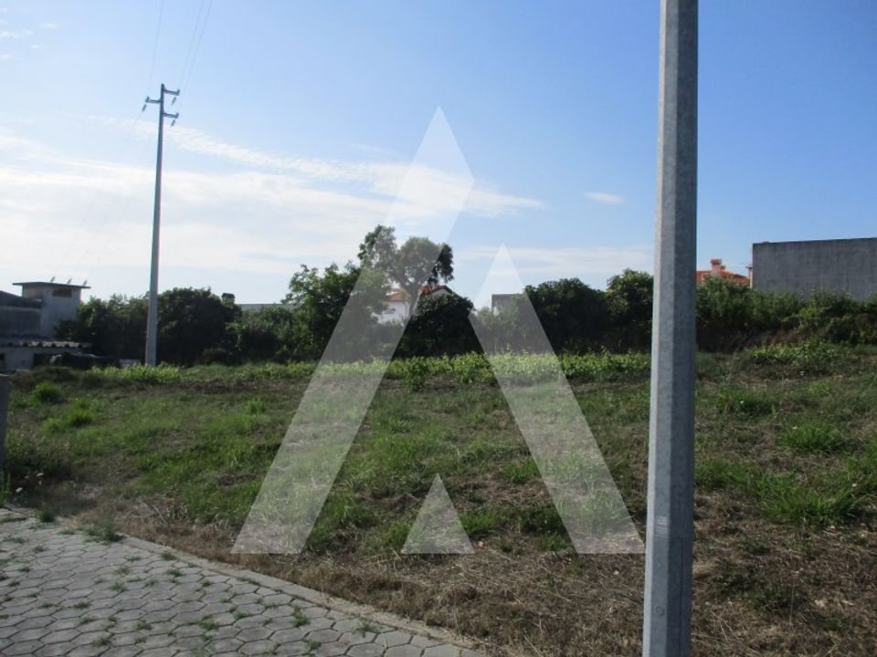 Helårsgrund i Anadia, Aveiro - foto 4