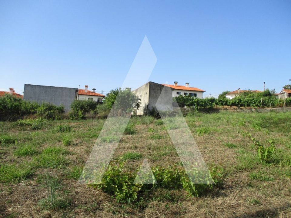 Helårsgrund i Anadia, Aveiro - foto 5