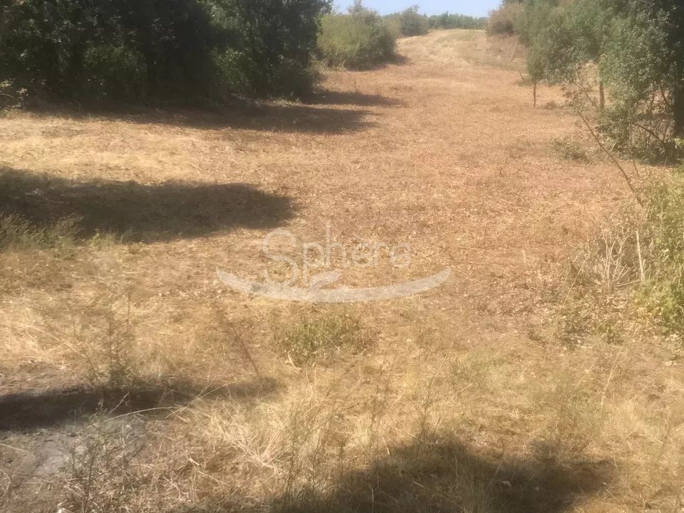 Helårsgrund i Limoux, Aude - foto 4