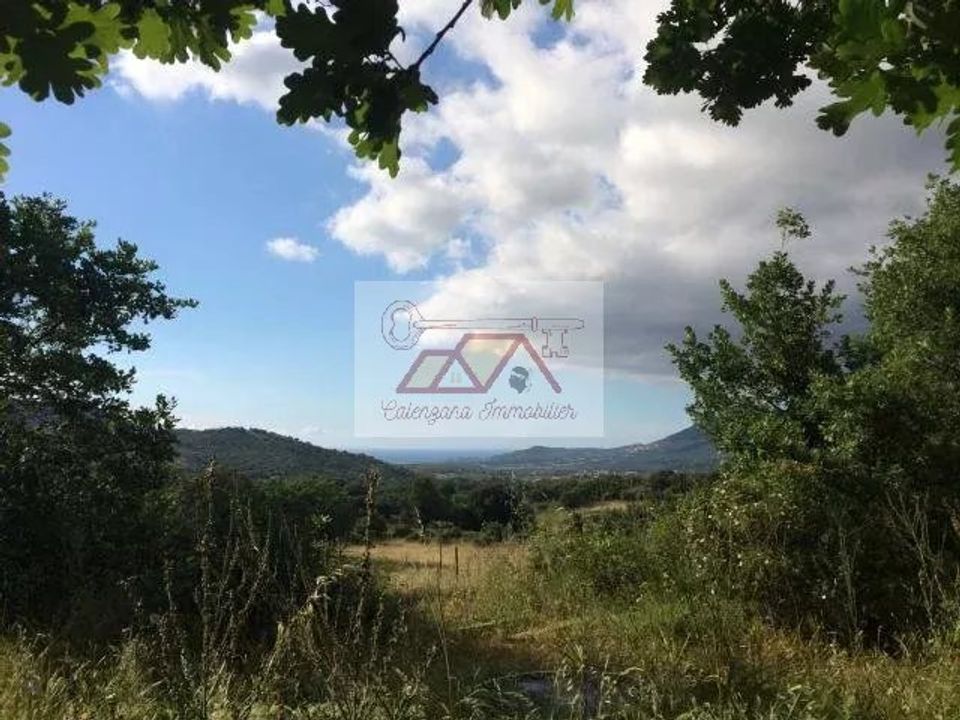 Helårsgrund i Calenzana, Haute-Corse - foto 2
