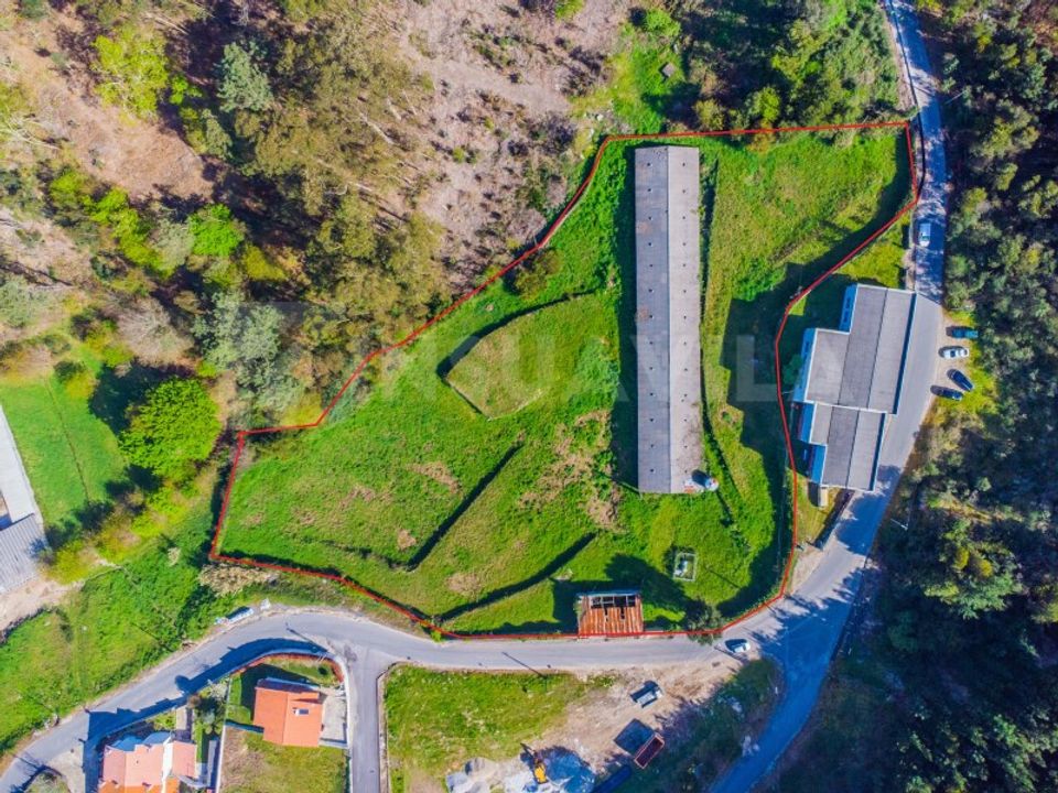 Erhvervsejendom i Caminha, Viana do Castelo - foto 2
