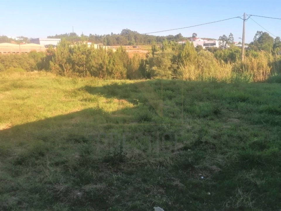 Tomt i Cernache, Coimbra - bilde 4