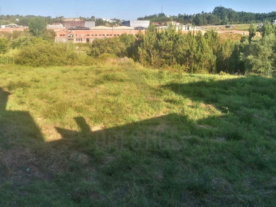 Tomt i Cernache, Coimbra - bilde 5