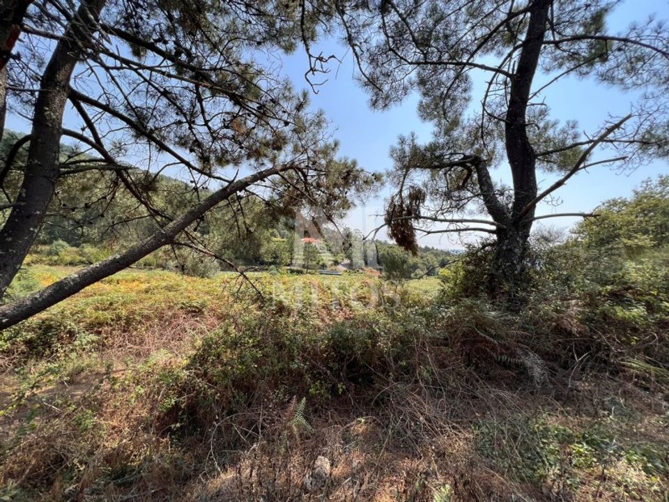 Helårsgrund i Viana do Castelo, Viana do Castelo - foto 4