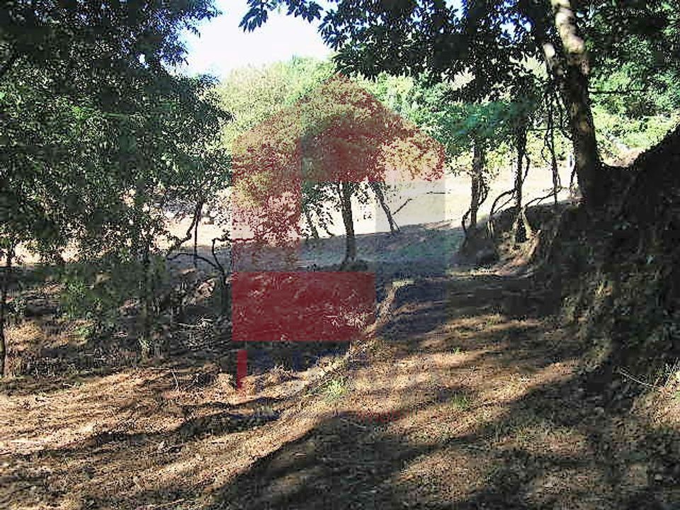 Helårsgrund i Vila Verde, Braga - foto 2