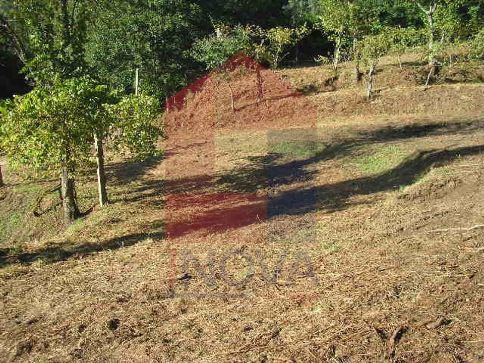 Helårsgrund i Vila Verde, Braga - foto 4