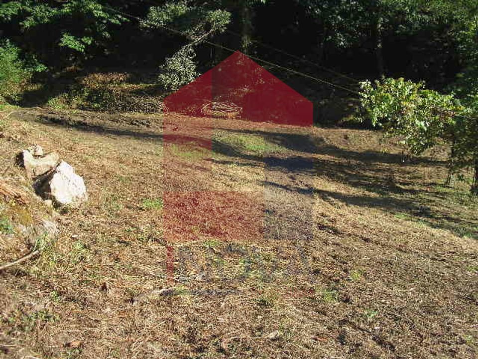 Helårsgrund i Vila Verde, Braga - foto 5