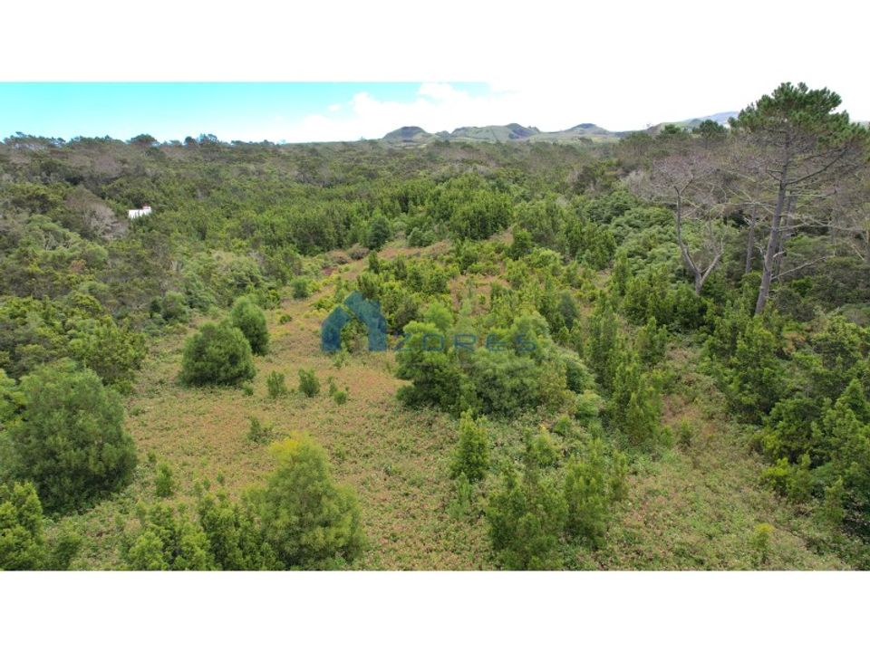 Terra a Candelaria, Pico - foto 5