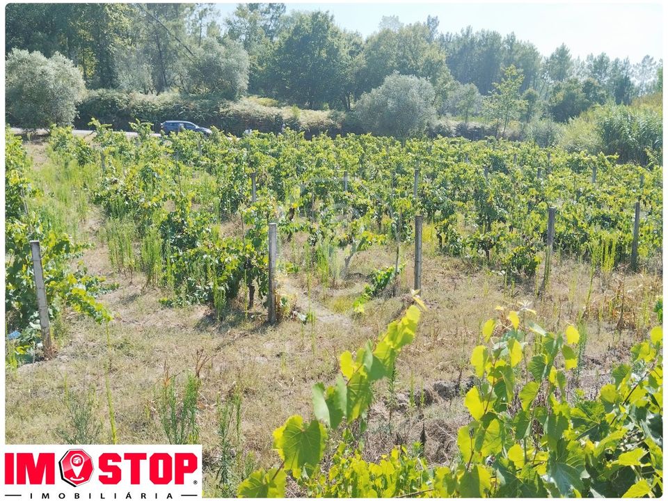 Helårsgrund i Oliveira do Bairro, Aveiro - foto 3
