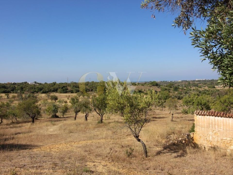 Farm i Algoz, Faro - foto 5